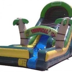Amazing 18ft Palm Tree Slide wet or dry