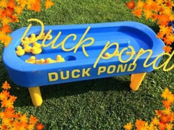 Duck pond